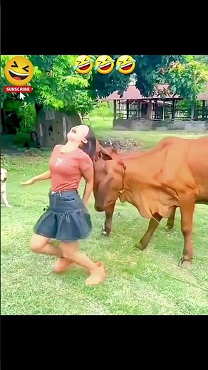 Moments That Make You Say This Much Clumsiness Is Impossible! 😅