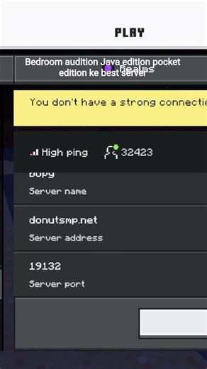 jl Java Java edition bedrock edition pocket edition best server