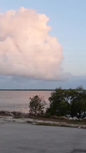 pre-honeymoon ☀️🌊👙⛱️🏝️🐚 #keywest #florida #floridakeys #honeymoon #bride #wedding | Olivia Miller