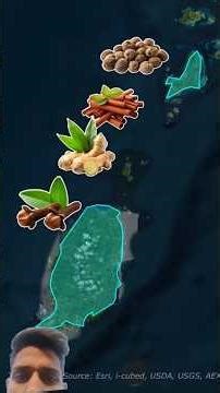 The Tiny Island That Controls The World's Nutmeg 🌿