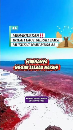 Fakta Mengejutkan‼️Laut Merah Warnanya Nggak Selalu Merah‼️🤔 #lautmerah #redsea #islamicshorts