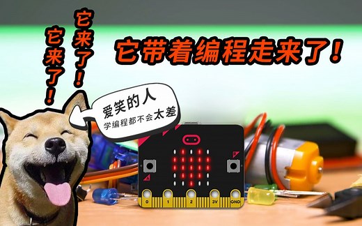 什么是micro:bit