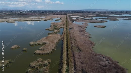 Aerial approach to a trail in El Hondo natural park. Elche, Spain.