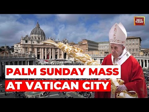 LIVE: Palm Sunday At Vatican | Palm Sunday Mass In St. Peter's Square | Pope Francis LIVE