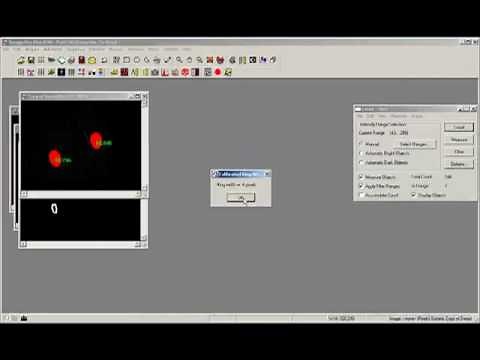 Measure and Analyze Cell Intensities - Image-Pro Plus Software