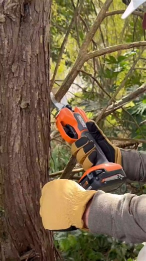 33K views · 105 reactions | Get ready for springtime yard work. The 18V Brushless Pruner provides the versatility and runtime you need for essential outdoor maintenance, with 1-1/4 in. cut capacity and 2,750 cuts per charge. All on the same 18V battery platform. Backed by the INDUSTRY’S BEST Lifetime Service Agreement: Free Batteries. Free Parts. Free Service. FOR LIFE. #BuildForALifetime Shop now —> thd.co/3TB7g7I | RIDGID Power Tools | Facebook