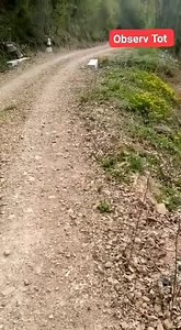 Svinița, Mehedinți - România https://m.facebook.com/story.php?story_fbid=1672712259535701&id=753018948171708 | Observ tot