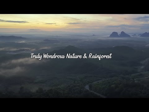 MALAYSIA I TRULY WONDROUS NATURE & RAINFOREST