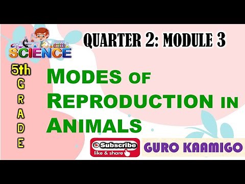 Science 5 Quarter 2: Module 3 (MELC- Based)