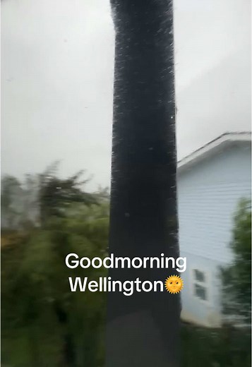 Wellington Weather Update and Forecast for 2025