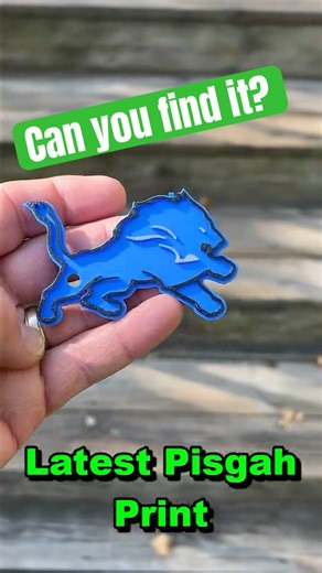 Beautiful Mt. Pisgah in Holland Michigan Detroit Lions Keychain