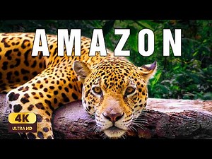 Amazon Rainforest 4K | Into Earth’s Living Heart | Cinematic Nature Relaxation