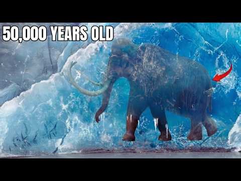 The Extinct Creatures We Found Frozen Beneath Ice | Documentary for Sleep