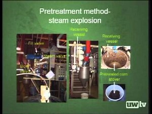 Bioenergy and Biofuels: Biomass Processing for Bioenergy and Biofuels