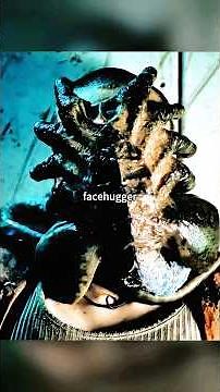 😱Facehugger Clamps Woman’s Head#scifi #Horror #movie #shorts