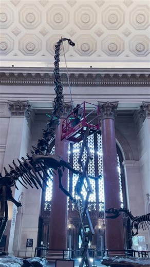 Fall Cleaning at the American Museum of Natural History