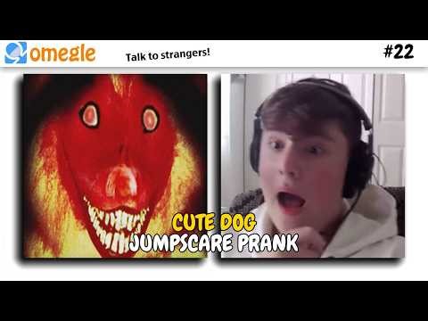 CUTE DOG SCARE PRANK on OMEGLE!! #22