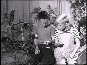 Dennis And The Miracle Plant Food