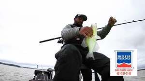 Pro angler Lamar Bunting weighs in on his favorite colors to use in muddy water to get those big fish in the boat. | Crappie Masters