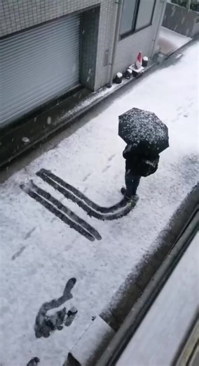 Laki laki ku 🖤 #ldrindonesiajepang🇲🇨🇯🇵 #🇮🇩🇯🇵 | Bound To Falling In Love Edit Template