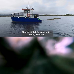  Meet Oddmund Hestvik, a “farmer of the sea” who has spent over 50...