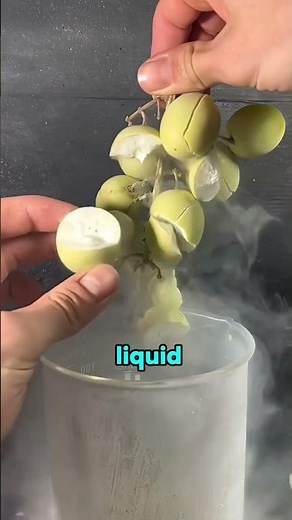 Liquid Nitrogen vs. Fire: Extreme Temperatures in Action #funfacts #funknowledge #sciencefacts