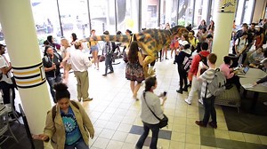 17K views · 325 reactions | Wondering what all the commotion was about yesterday? | Virginia Commonwealth University | Facebook