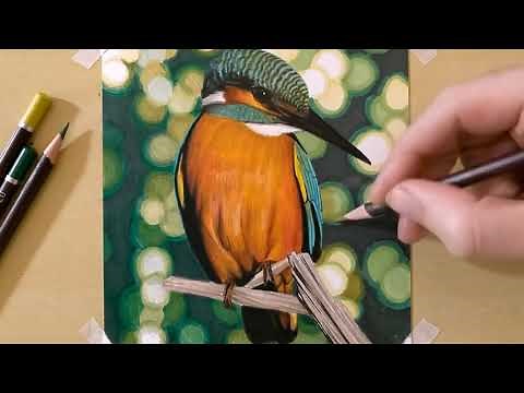 How to Create a Blurred Background