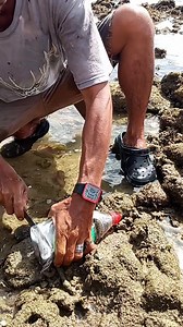 20K views · 42 reactions | Fish amazing trap battle  #highlight | Romelio Vlog | Facebook