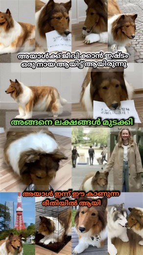 🤩തിരക്കുകളില്ലാത്ത ലോകം🤩#trending #viral #fypage #dailyshorts