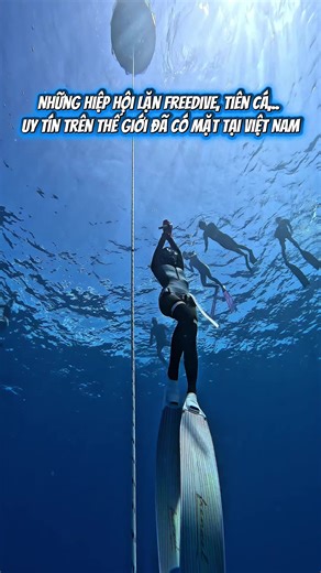 Khám Phá Freediving và Thế Giới Tiên Cá tại Việt Nam