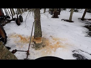 Farmitunkki diy kaadonsuuntaajalla puiden kaatoa. Farm Jack tree pusher in action. 550xp Mark ll