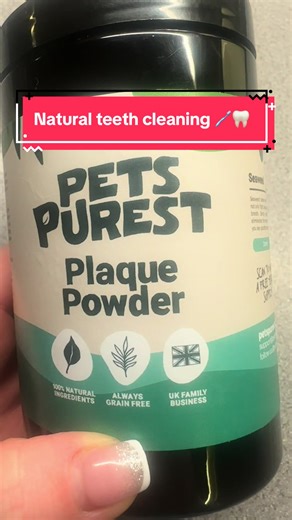 Plaque power 🦷🪥😬 giving this a go as Lola’s teeth and breath are getting worse the older she gets #dentalhygiene #dogdentalhygiene #dogdental #dogplaque #dogteethbrushing