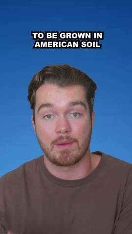 Purple Super Tomato Approved in U.S. With Major Benefits