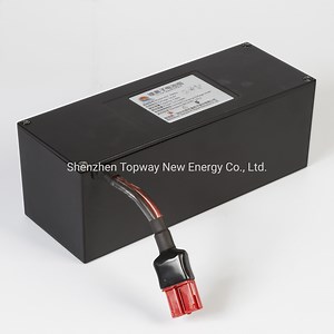 [Hot Item] 6c Current Discharge 26650 Battery Pack with / Without PCM, Wires and Connector