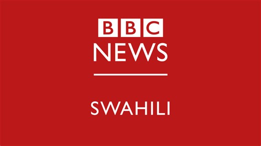 Panzi Tanzania: Mfahamu mdudu wa kipekee mwenye rangi za bendera ya nchi - BBC News Swahili