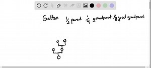 SOLVED:Francis Galton, a geneticist of the pre-Mendelian era,… | Numerade