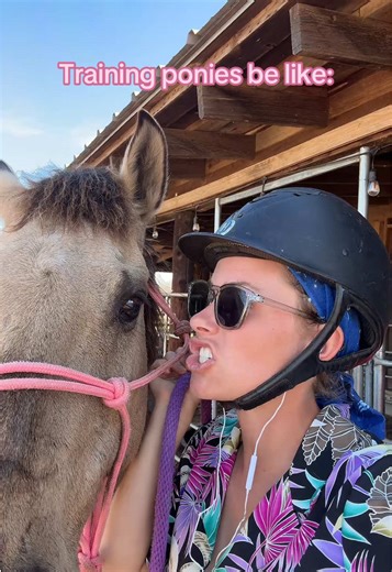 Nala was a sweetie today, I’m joking… kinda #nalathepony #traininghorses #ponies