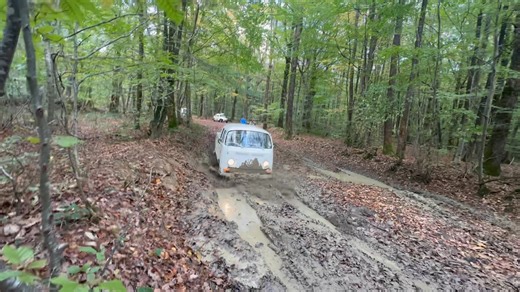 20K views · 160 reactions | Week end off-road pour la réunion annuelle des 4 shops Vintage Autohaus : Cuzorn, Seignosse, Le Mans et Épernay | SERIAL-Kombi | Facebook