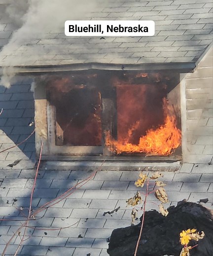 Kenneth Collins on Reels