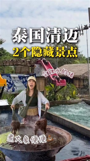 J旅 Just Travel |（⛩️旅行博主） | 【泰国🇹🇭清迈】推荐2个隐藏景点！ 如果你在清迈想安排一个特别的行程可以考虑加上去哦～～ 留言【泰北行程】发你我们的完整行程哦！ 📍 Uncle Pong Mini Zoo and Cafe - สวนลุงพงศ์มินิซูแอนด์คาเฟ่ 📍 Elephant... | Instagram