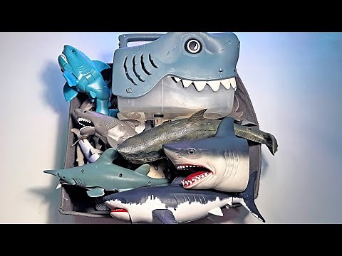 A Box of Shark Toys - Great White Shark, Lemon Shark, Hammerhead Shark, Bull Shark, Megalodon, Mako