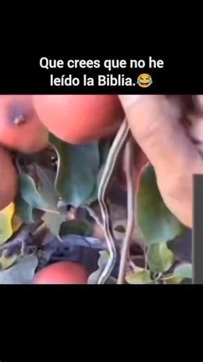 Humor Cristiano on Instagram: "Únete: 👉 @humorcristiano.nv . . #viral #humor #meme #reels #video #memescristianos #humorcristiano"