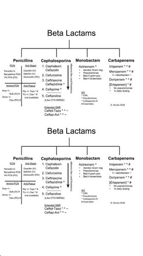 Classification of Beta lactam antibiotics