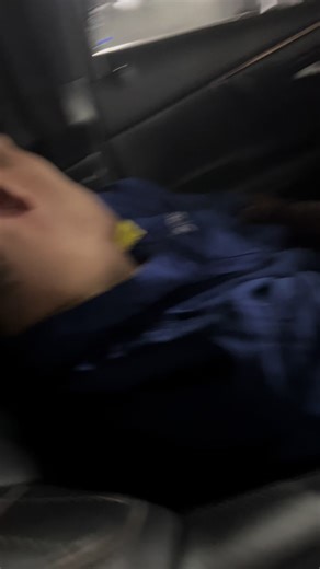 Understanding Shettzuu Dogs: Care and Characteristics