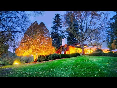 top 10 muzica veche romaneasca melancolie