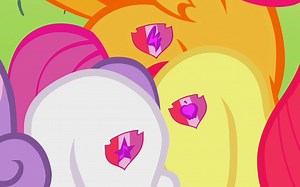 【中法双字】【MLP】Notre talent