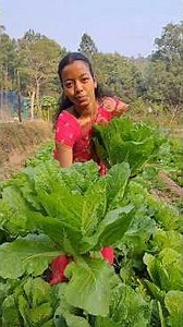 Gaon ka Deshi Khana Khapra Roti Our Chiniya Shag #shorts #ytshorts #cookingshorts