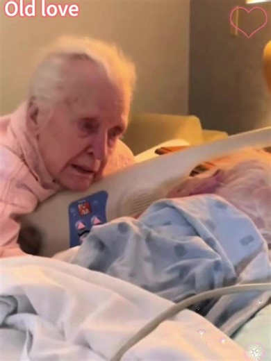 Celebrating True Love Stories of Old Couples