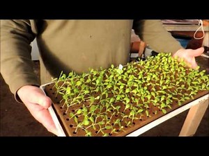 Welcome to Spring Hill Farms, 1st VLOG!